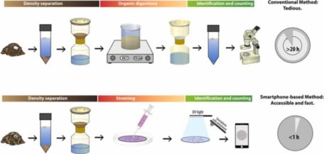 Graphical Abstract of Smartphone-enabled rapid quantification of microplastics