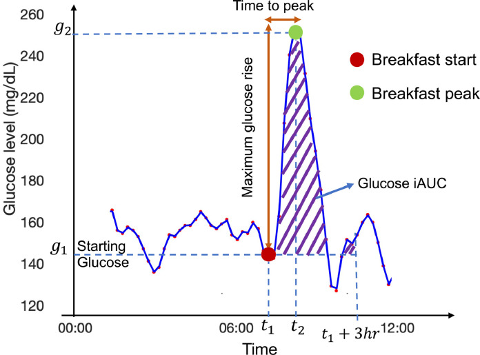 Proposed breakfast CGM measures. Annotated breakfast start and peak shown with a red and green circle respectively in a participant with T2D. g1: starting glucose (SG) value, t1: start time of breakfast response, g2: glucose value at breakfast response peak, t2: time at breakfast response peak. (g2- g1) represents the maximum glucose rise (Max GR) and (t2- t1) represents the time to glucose peak (TTP). The purple hatched region represents the incremental area under the glucose curve (Glucose iAUC).